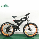 Electric Bike TDE18